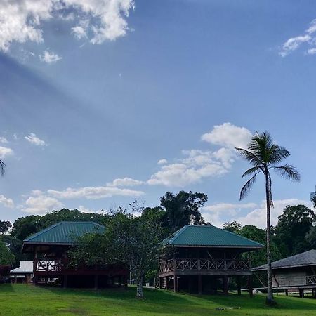 Iwokrama River Lodge Makari Luaran gambar