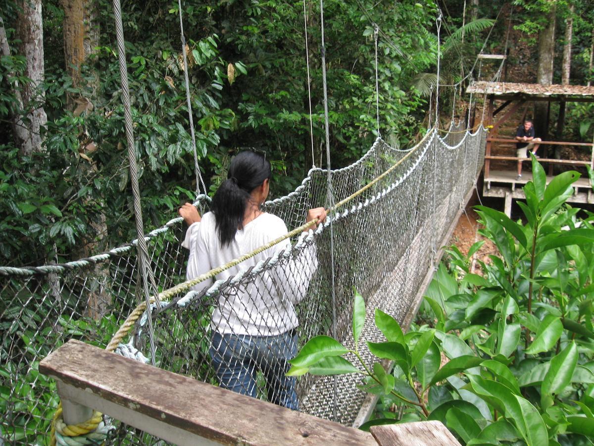 Iwokrama River Lodge Makari Luaran gambar