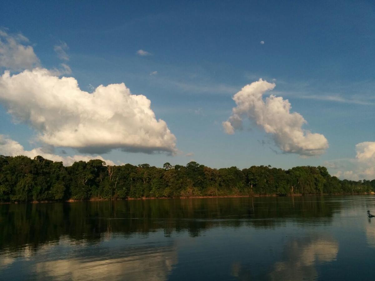 Iwokrama River Lodge Makari Luaran gambar